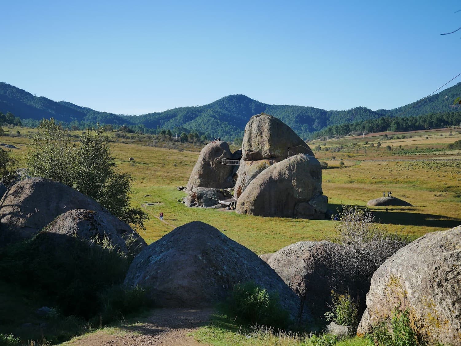 Rounded boulders in a grassy valley beneath pine-covered mountains.